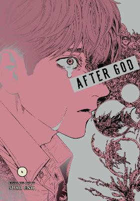 After God, Vol. 6(English, Paperback, Eno Sumi)