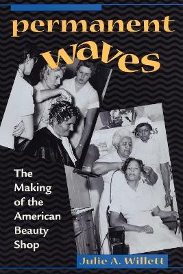 Permanent Waves(English, Paperback, Willett Julie Ann)
