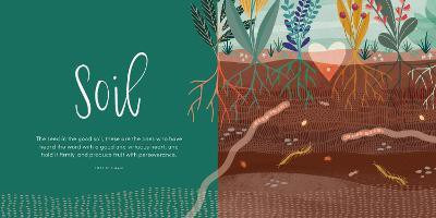 The Kingdom of Heaven(English, Board book, Hitchen Danielle)