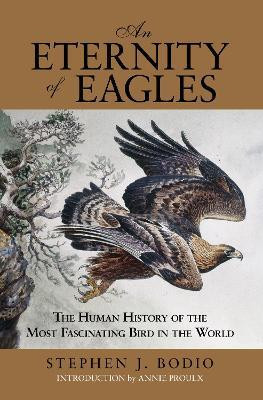Eternity of Eagles(English, Hardcover, Bodio Stephen J.)