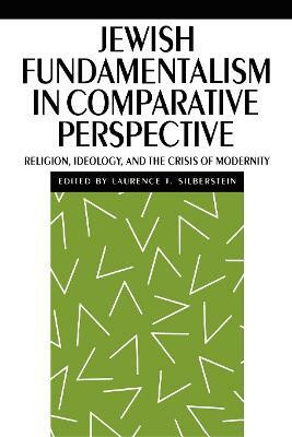 Jewish Fundamentalism in Comparative Perspective(English, Paperback, unknown)