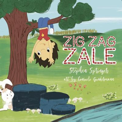 Zig Zag Zale(English, Paperback, Springer Stephen)