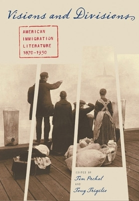Visions and Divisions(English, Paperback, unknown)