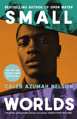Small Worlds(English, Hardcover, Nelson Caleb Azumah)