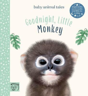 Goodnight, Little Monkey(English, Hardcover, Wood Amanda)