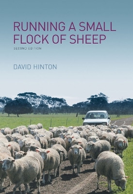 Running a Small Flock of Sheep(English, Paperback, Hinton David G)