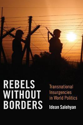 Rebels Without Borders(English, Paperback, Salehyan Idean)