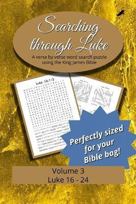 Searching Through Luke(English, Paperback, unknown)