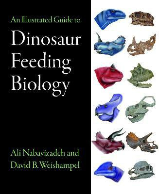 An Illustrated Guide to Dinosaur Feeding Biology(English, Electronic book text, Nabavizadeh Ali)