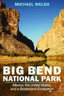 Big Bend National Park(English, Paperback, Welsh Michael)