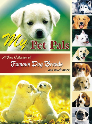 My Pet Pals(English, Paperback, Anjani A Gupta)