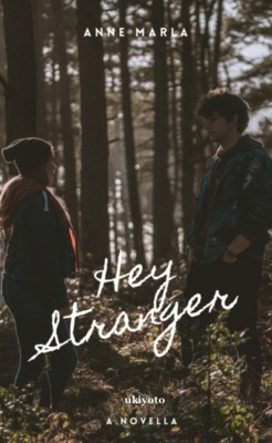 Hey Stranger(Paperback, Anne Marla)