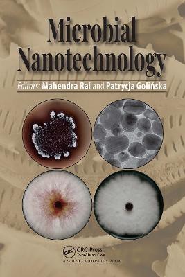 Microbial Nanotechnology(English, Paperback, unknown)