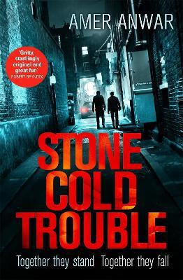 Stone Cold Trouble(English, Paperback, Anwar Amer)
