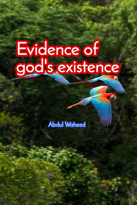 Evidence of god's existence(English, Hardcover, Abdul Waheed)