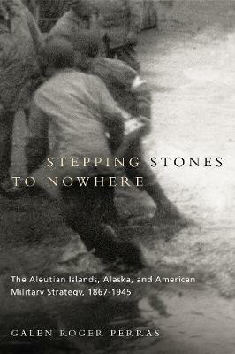 Stepping Stones to Nowhere(English, Hardcover, Perras Galen Roger)
