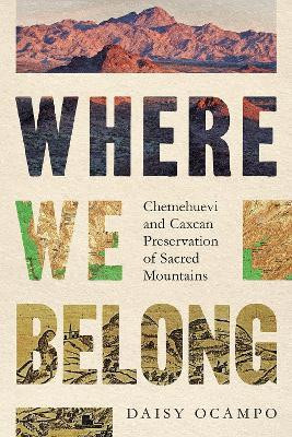Where We Belong(English, Paperback, Ocampo Daisy)