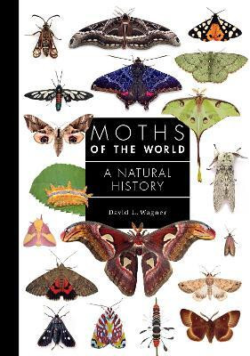 Moths of the World(English, Hardcover, Wagner David L.)