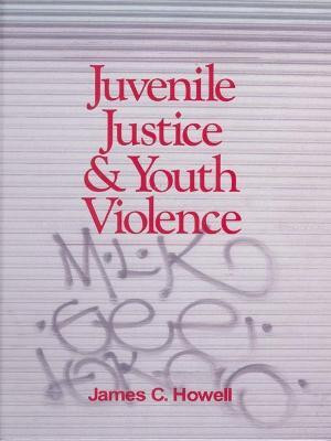 Juvenile Justice and Youth Violence(English, Electronic book text, Howell James C.)