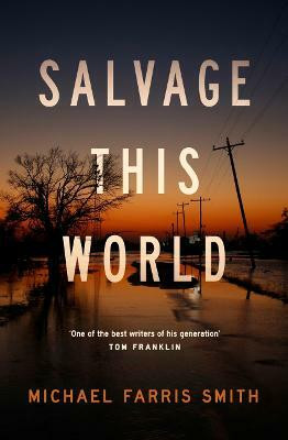 Salvage This World(English, Paperback, Smith Michael Farris)