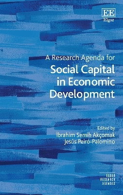 A Research Agenda for Social Capital in Economic Development(English, Hardcover, unknown)