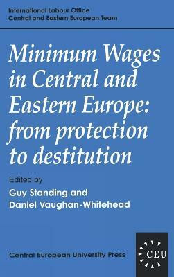 Minimum Wages in Central and Eastern Europe(English, Electronic book text, unknown)