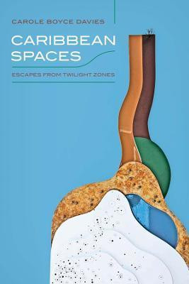 Caribbean Spaces(English, Electronic book text, Boyce Davies Carole)