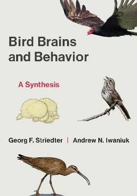 Bird Brains and Behavior(English, Paperback, Striedter Georg F.)