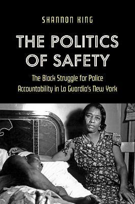 The Politics of Safety(English, Hardcover, King Shannon)