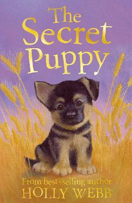 The Secret Puppy(English, Paperback, Webb Holly)