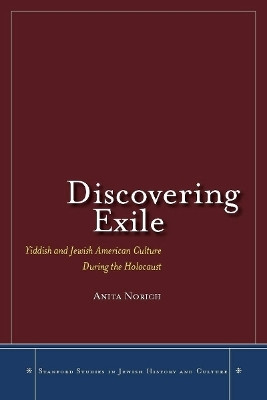 Discovering Exile(English, Hardcover, Norich Anita)