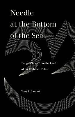 Needle at the Bottom of the Sea(English, Paperback, Stewart Tony K.)