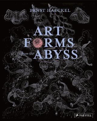 Art Forms from the Abyss(English, Paperback, Williams Peter J Le B)