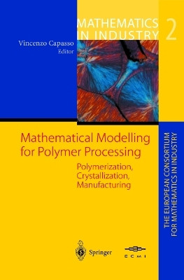Mathematical Modelling for Polymer Processing(English, Paperback, unknown)
