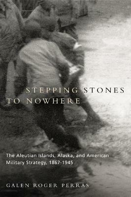 Stepping Stones to Nowhere(English, Electronic book text, Perras Galen Roger)