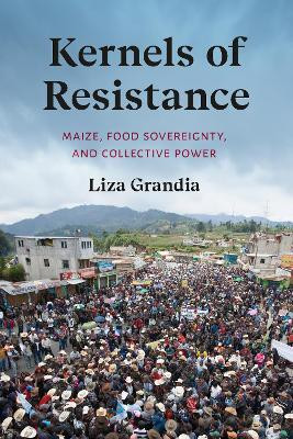 Kernels of Resistance(English, Paperback, Grandia Liza)