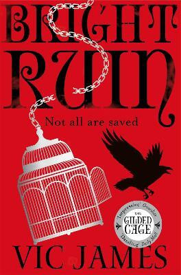 Bright Ruin(English, Electronic book text, James Vic)