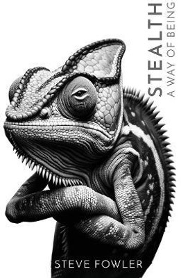 Stealth(English, Paperback, Fowler Steve)