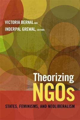 Theorizing NGOs(English, Paperback, unknown)