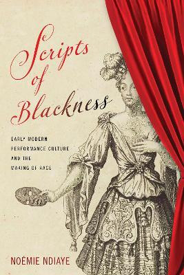 Scripts of Blackness(English, Hardcover, Ndiaye Noemie)