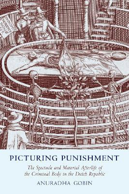 Picturing Punishment(English, Electronic book text, Gobin Anuradha)