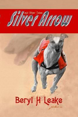 Silver Arrow and Other Tales(English, Paperback, Leake Beryl)