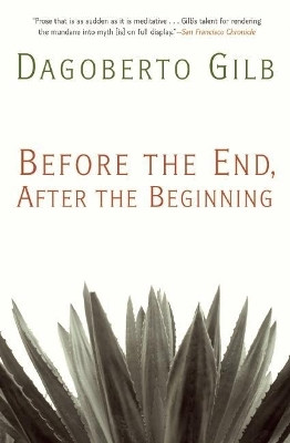 Before the End, After the Beginning(English, Paperback, Gilb Dagoberto)
