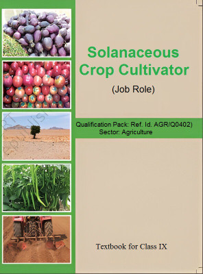 SOLANACEOUS CROP CULTIVATION CLASS 9 NCERT Syllabus based book as per updated syllabus A vocational skill course book useful for NCERT, CBSE and STATE Board exam book in english(Paperback, NCERT) SOLANACEOUS CROP CULTIVATION CLASS 9 NCERT Syllabus based book as per updated syllabus A vocational skill course book useful for NCERT, CBSE and STATE Board exam book in english(Paperback, NCERT)