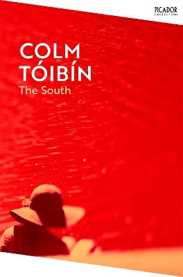 The South(English, Paperback, Toibin Colm)