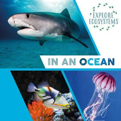 Explore Ecosystems: In an Ocean(English, Paperback, Ridley Sarah)