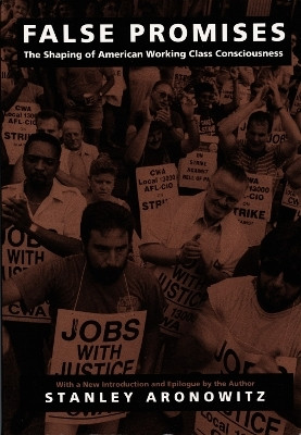 False Promises(English, Paperback, Aronowitz Stanley)