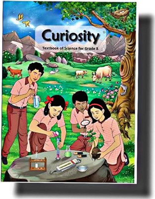 Ncert Class 8 Curiosity(English, Paperback, unknown)