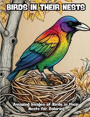 Birds in their Nests(English, Paperback, Contenidos Creativos)