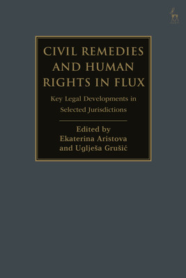 Civil Remedies and Human Rights in Flux(English, Paperback, unknown)
